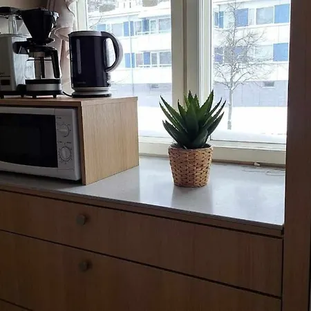 Apartament Kaunis Yksioe Laehellae Keskustaa *