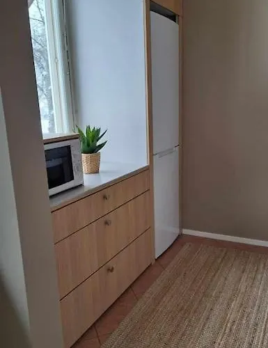 Kaunis Yksioe Laehellae Keskustaa Hyvinkää